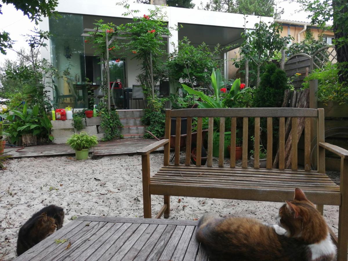 Le Relais De La Praya Bed & Breakfast Lege-Cap-Ferret Ngoại thất bức ảnh